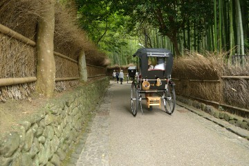 人力車 嵯峨の風景