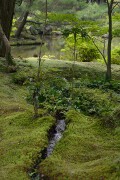 遣水 西芳寺