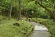 通宵路 西芳寺