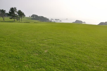 種差天然芝生地