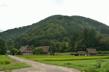 田園風景 合掌造り集落
