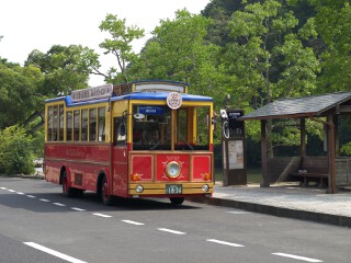 レイクラインバス