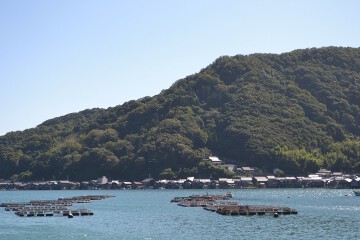 伊根湾