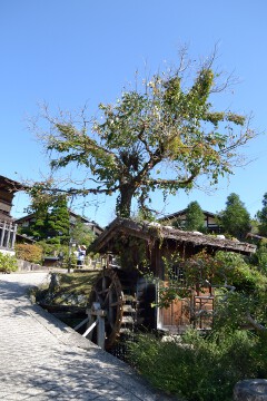 水車小屋 妻籠宿