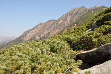 西穂高岳 西穂高岳