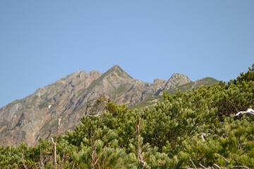 西穂高岳 西穂高岳