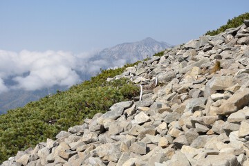 岩稜帯 岩稜帯