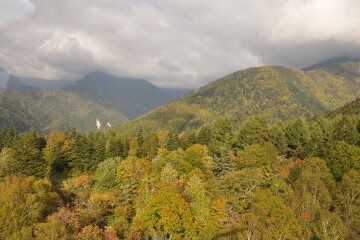 紅葉 紅葉