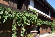 ヘチマの日除け 妻籠宿