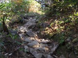 登山道 登山道