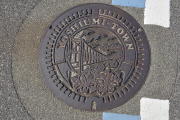 ツツジと来島海峡大橋、渦潮、カモメ