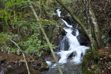 鋸歯の滝 鋸歯の滝
