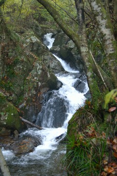 鋸歯の滝 鋸歯の滝