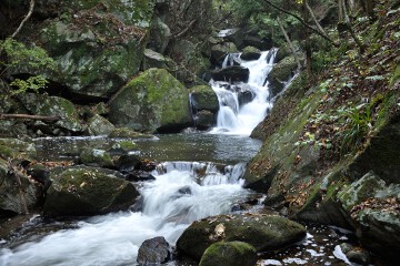 少し下に降りてみる 滝川渓谷