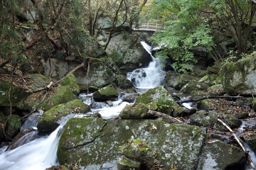 橋下滝 橋下滝