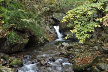 橋を渡りながら 滝川渓谷