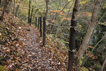 落ち葉の道 落ち葉