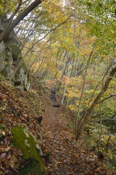 遊歩道 滝川渓谷
