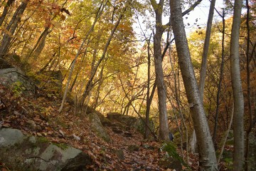 紅葉 滝川渓谷