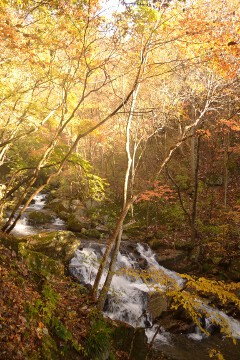 小富士の滝 小富士の滝