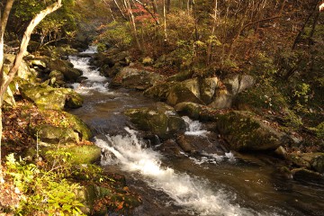 渓流 滝川渓谷