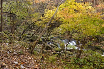 紅葉 滝川渓谷
