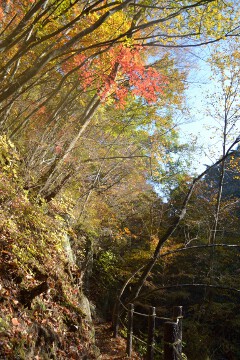 紅葉 滝川渓谷