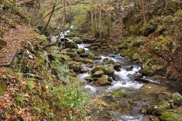 渓流 滝川渓谷