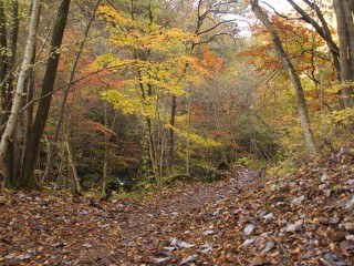遊歩道 滝川渓谷