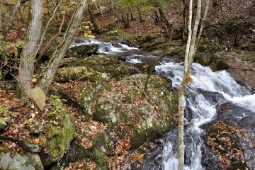 渓流 滝川渓谷