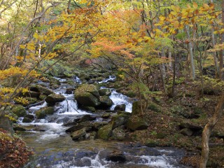 せせらぎの滝 せせらぎの滝