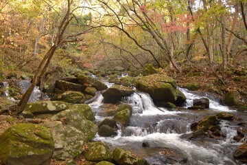 せせらぎの滝 せせらぎの滝