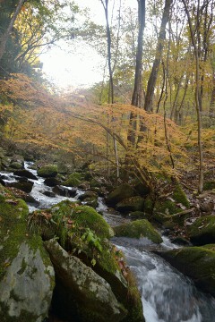 滝川渓谷 滝川渓谷