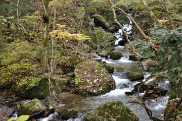 滝川渓谷 滝川渓谷