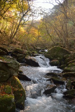桂木の滝 滝川渓谷