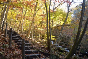 遊歩道 滝川渓谷