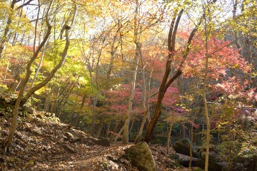 遊歩道 滝川渓谷