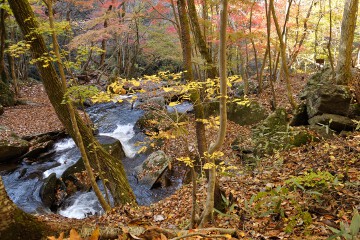 渓流 滝川渓谷