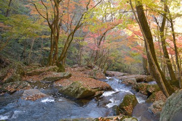 渓流 滝川渓谷