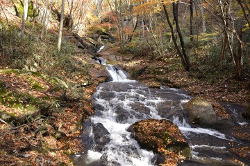 渓流 滝川渓谷