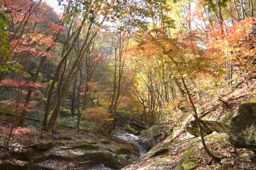 紅葉 展望台周辺