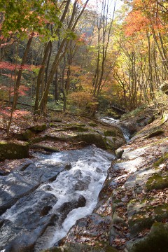 速い流れ 銚子の口滝