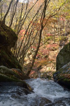速い流れ 銚子の口滝