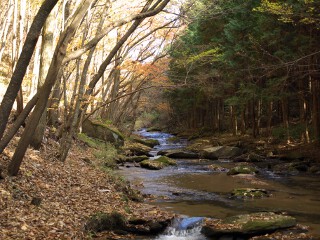 上流 滝川渓谷