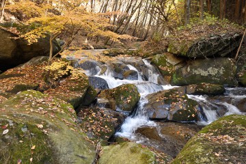 渓流 滝川渓谷