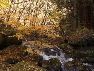 渓流 滝川渓谷