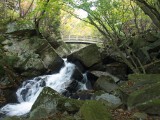 橋下滝 橋下滝