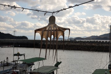 干しダコ 干しダコ