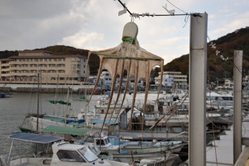 干しダコ 干しダコ