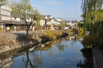 倉敷川畔の柳並木 倉敷川畔